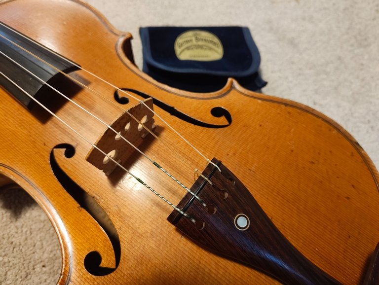 Returning back to Gut Strings.jpg
