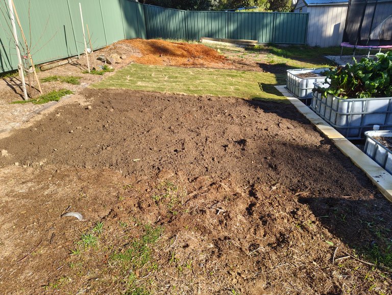 More Clearing and a New Lawn Patch.jpg