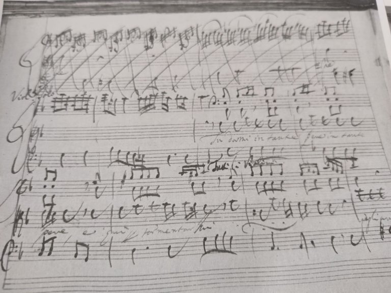 A bunch of transcribing for Viola d'amore.jpg