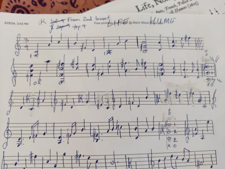 Transcription from Gamba to d'Amore!.jpg