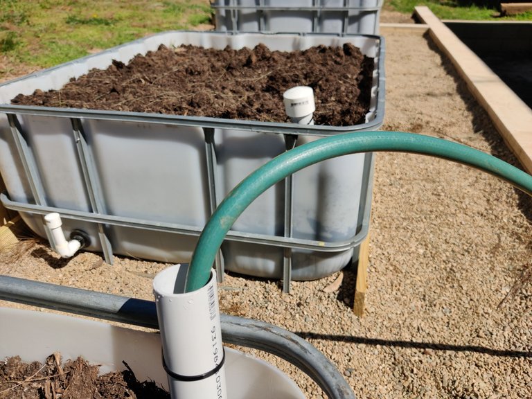 Sealing the Wicking Beds.jpg