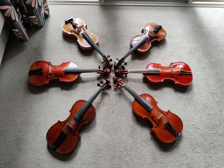 Preparing Scordatura Violins for Easter.jpg