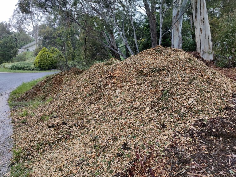 Rain, Weeds, and Mulch.jpg