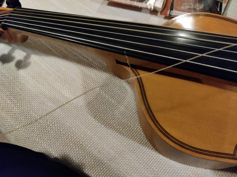 Finally Changing that Pesky d'amore String.jpg