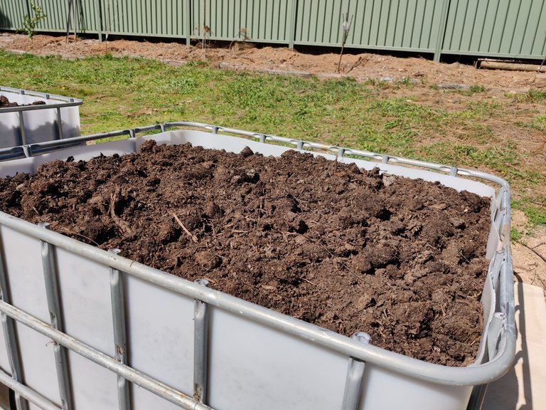 Veggie Beds Ready and little bits... .jpg