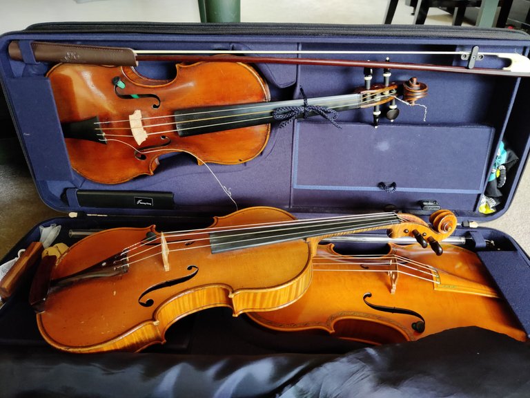 I really should get another violin... .jpg