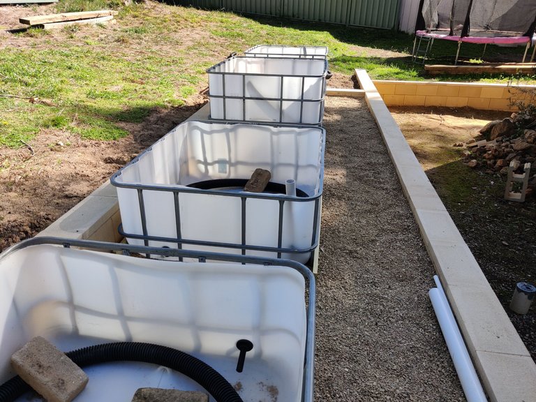 Veggie Beds Ready and little bits... .jpg