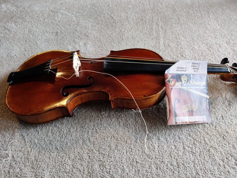 I really should get another violin... .jpg