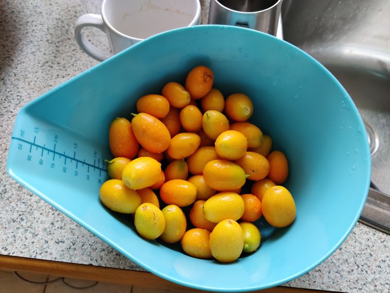 Making Kumquat Jam.jpg