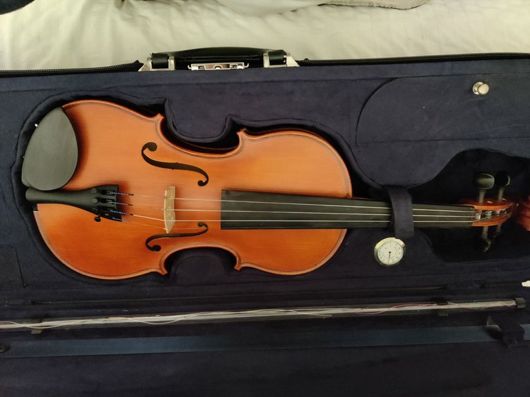 Spare Teaching Violin.jpg