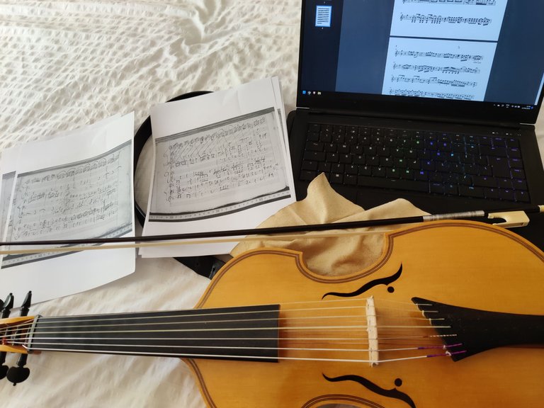 A bunch of transcribing for Viola d'amore.jpg