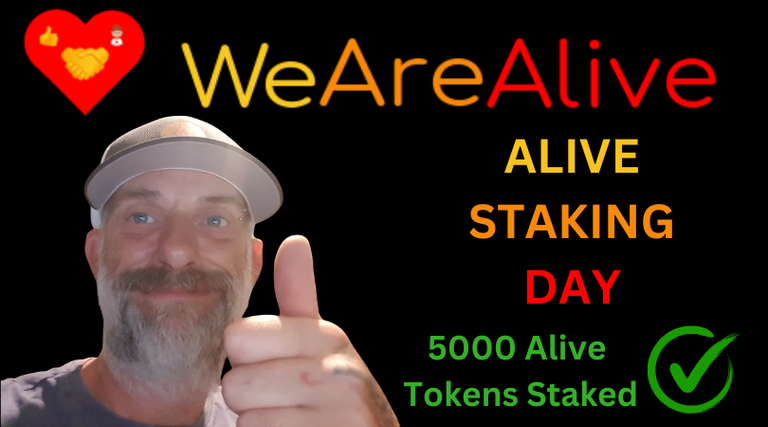 we-are-alive-tribe-alive-and-thriving-post-header-stake-220725.png