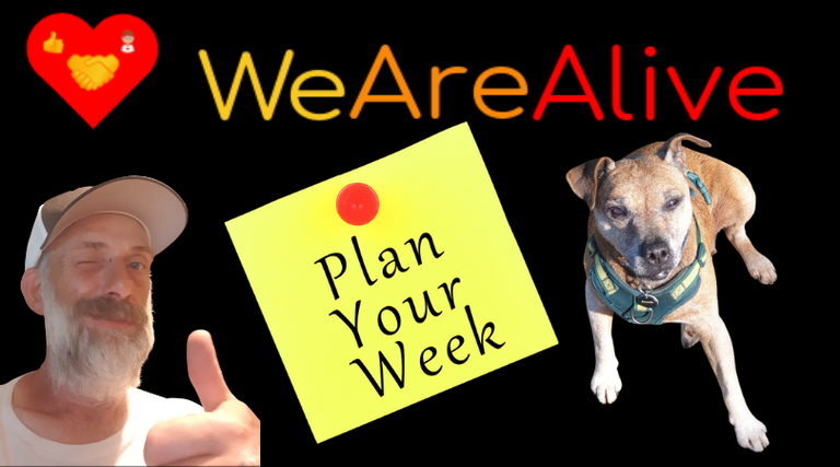 planyourweek110825.png