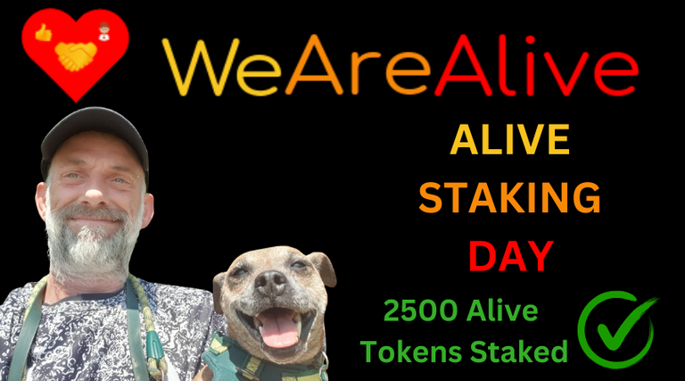 we-are-alive-tribe-alive-and-thriving-post-header-stake-080725.png