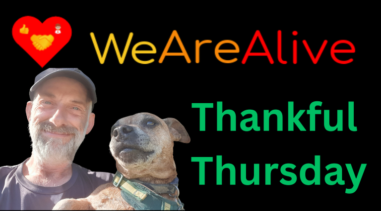 thankfulthursday100825.png