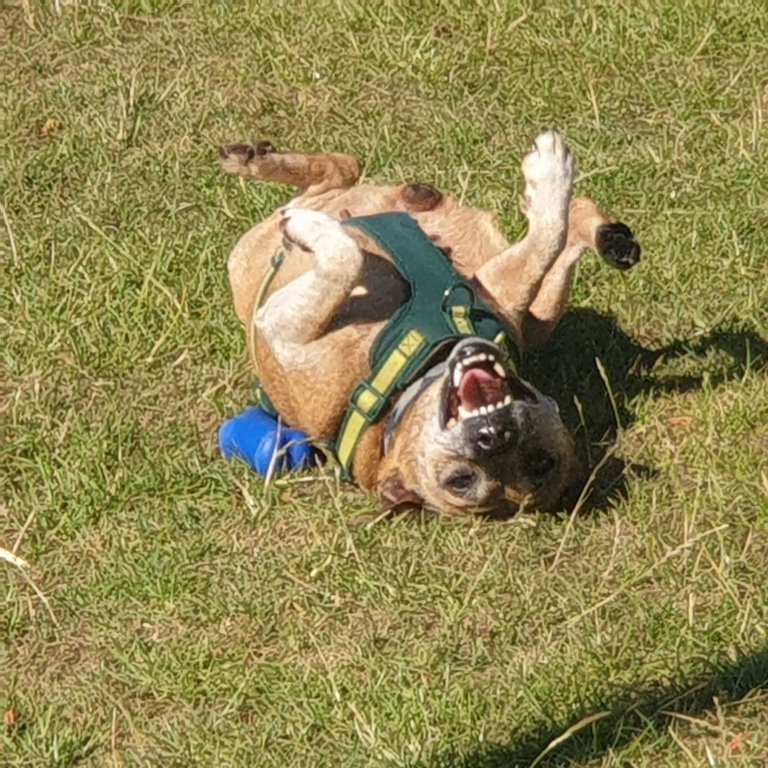 20250710_093031.jpg