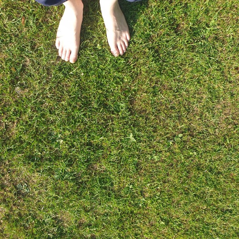 20250728_181432.jpg