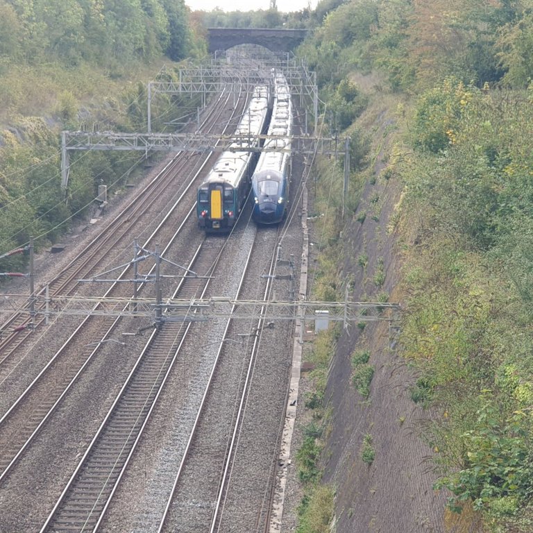 20250916_094423.jpg