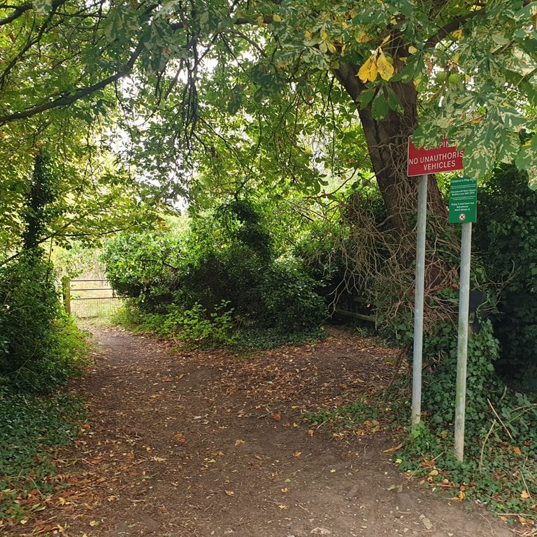 20250820_135517.jpg