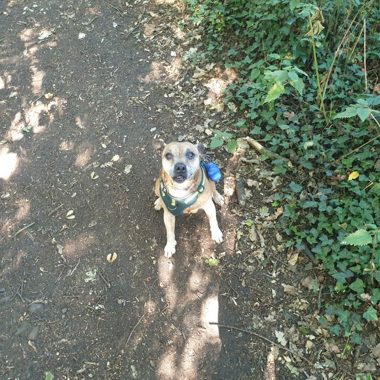 20250710_092502.jpg