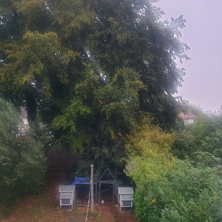 20250830_194437.jpg