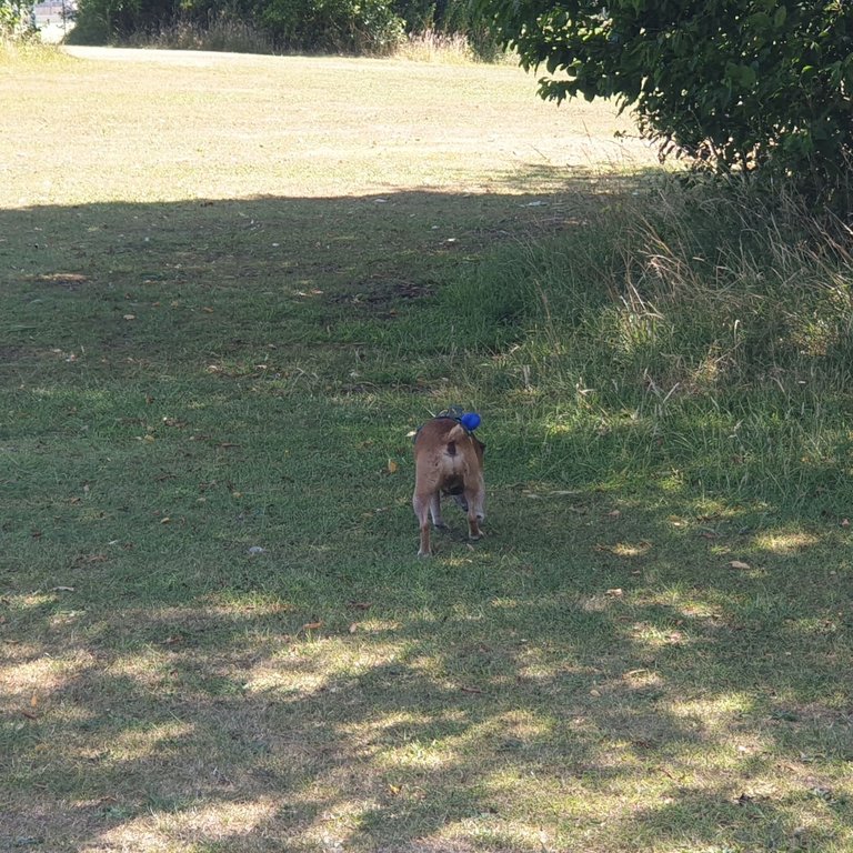 20250708_140932.jpg