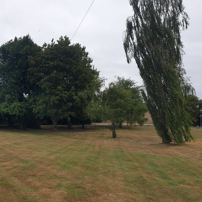 20250820_135412.jpg