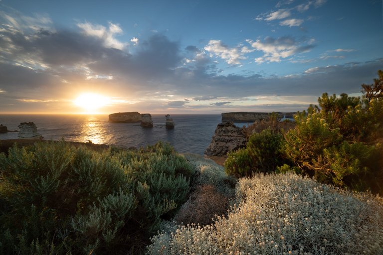 bayOfIslands_sunset.jpg