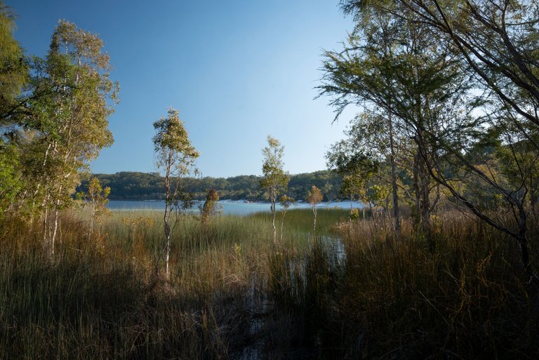 fraserIsland_lake.jpg