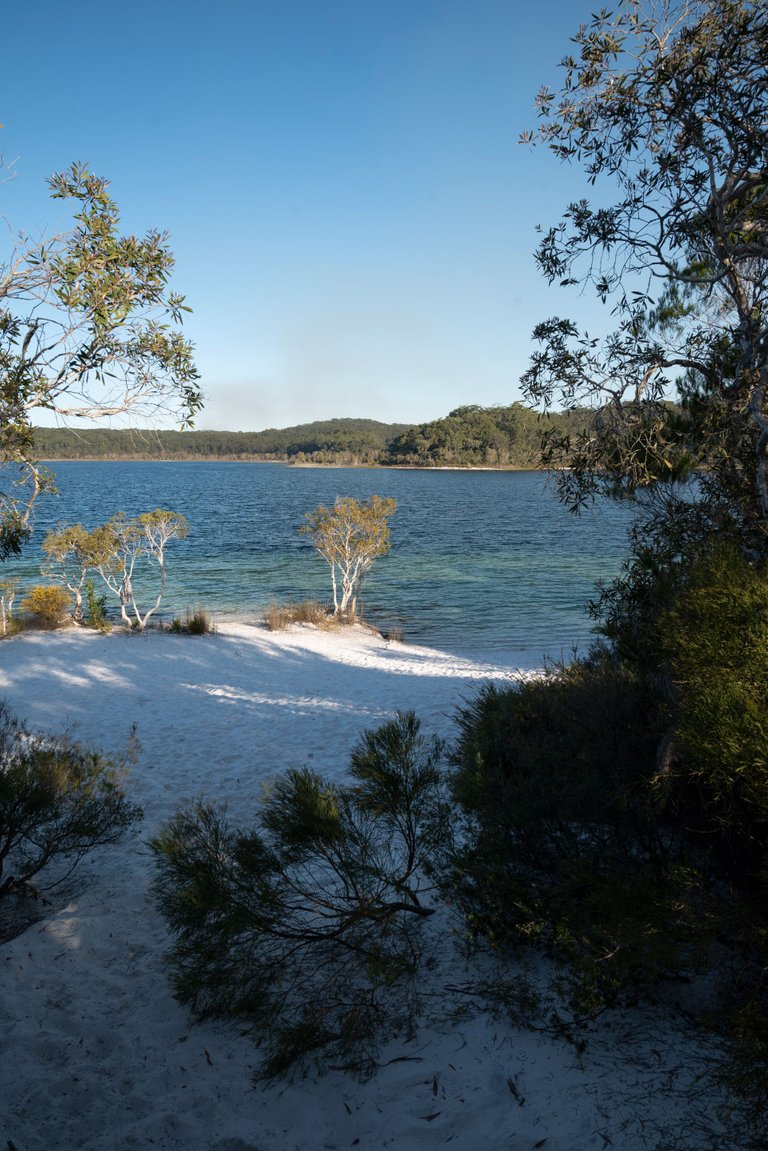 fraserIsland_lake-2.jpg