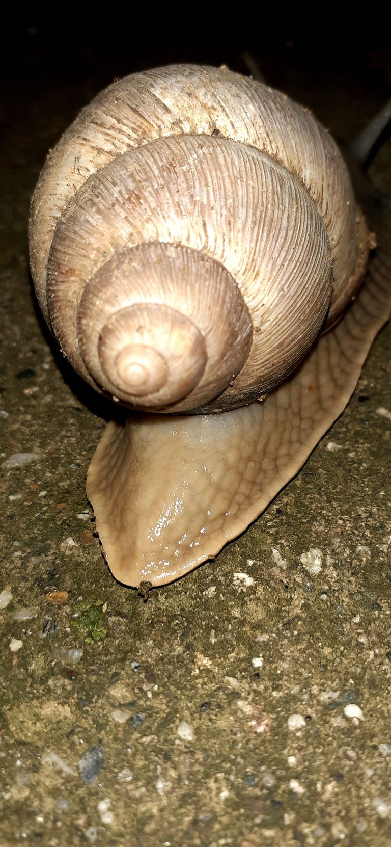 20210906_014316.jpg