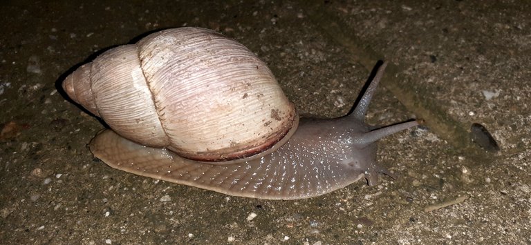 20210906_014840.jpg