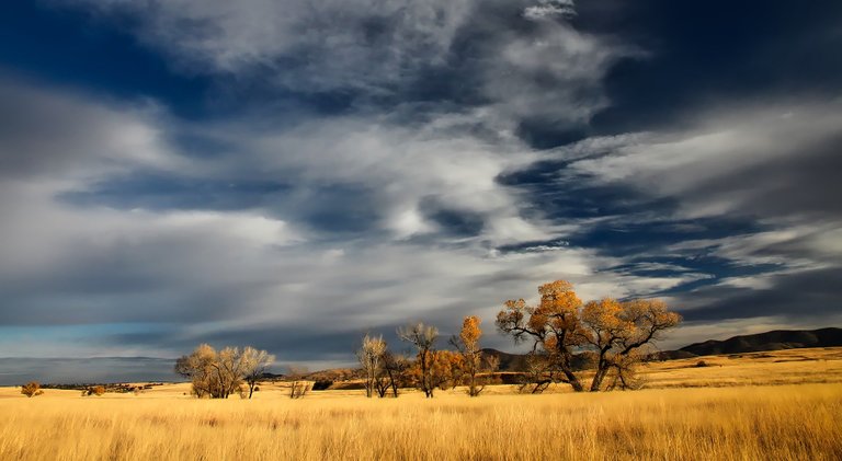 patagonia1581878_1920.jpg