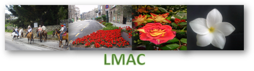 LMAC.png