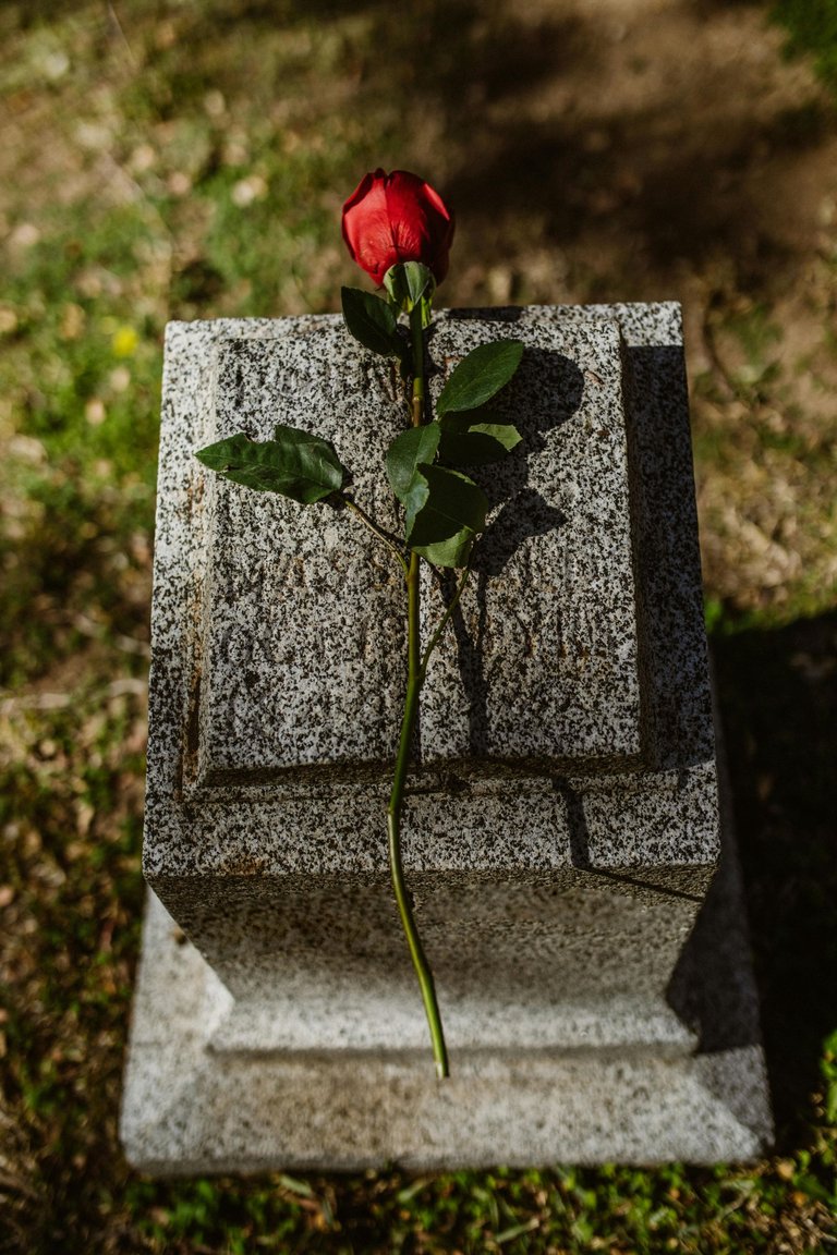 1000111971.jpg
