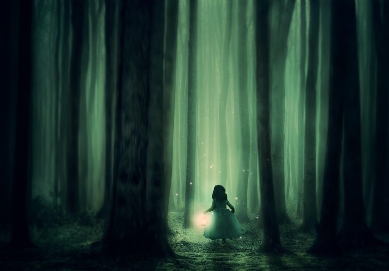 forest-3833973_1280.jpg
