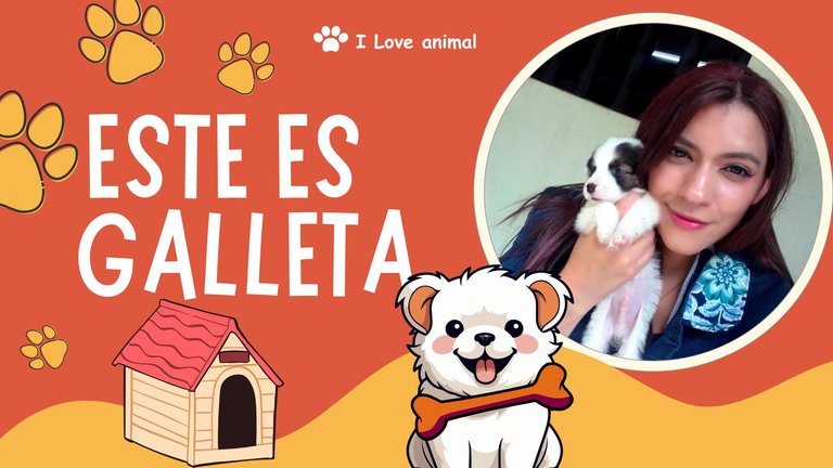 Orange Yellow Illustration Pet Shop Presentation.jpg