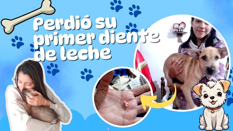 Pink and White Playful Pet Care Center.jpg