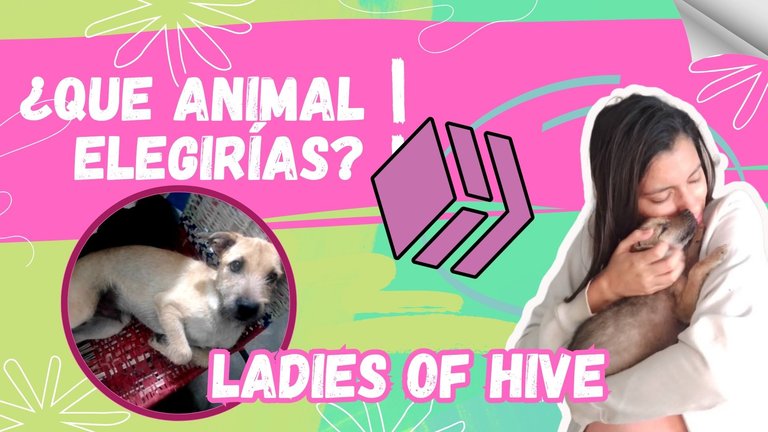 Video Clip de Salida Fondo Aesthetic Rosa Verde .jpg