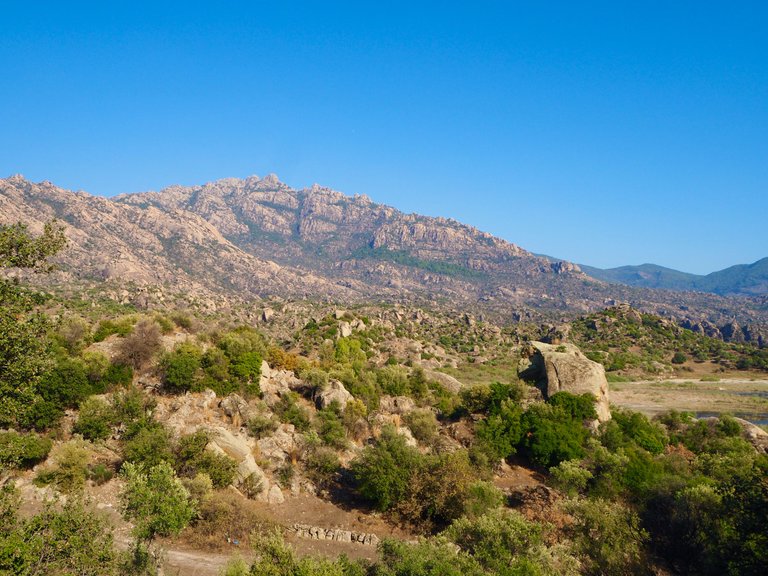 PA241887.JPG