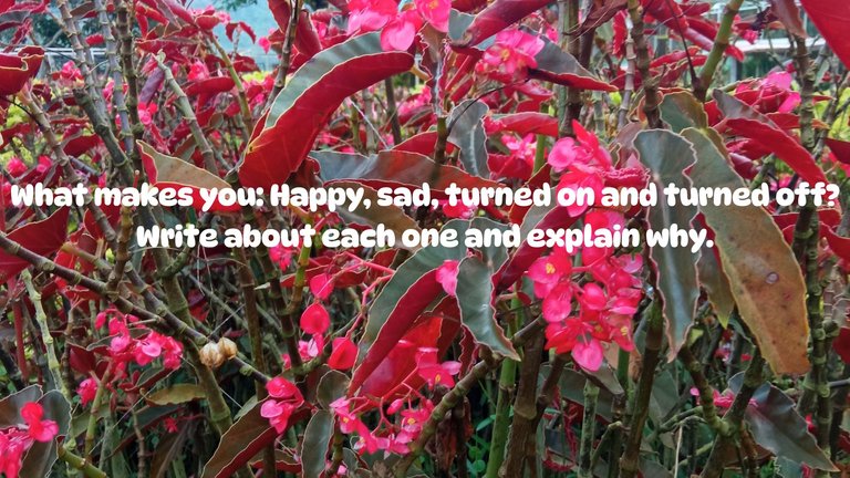 Weekend-Engagement Week 258: What makes you: Happy, sad, turned on and turned off? 