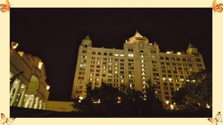 nightout_front_002.jpg