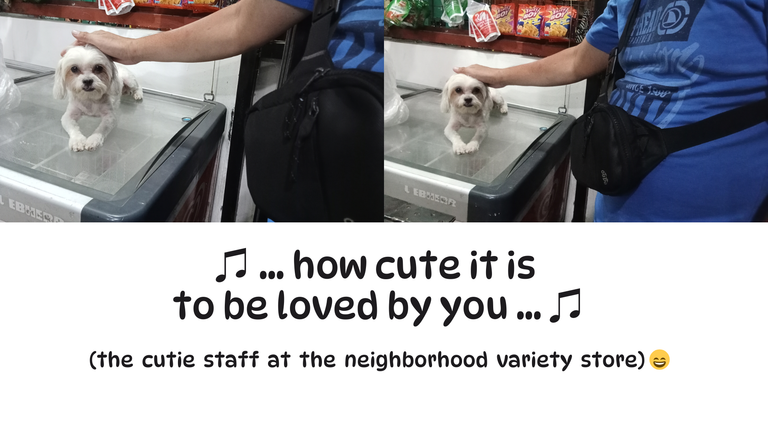 Ribshack_cutie.png