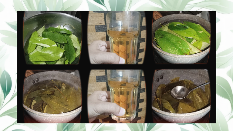 soursop.png