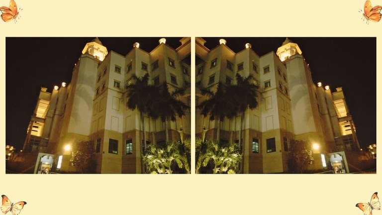 nightout_front_003.jpg