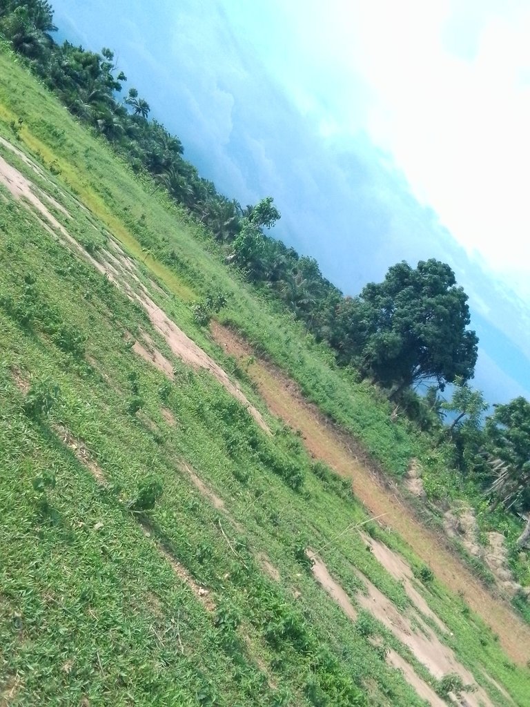 IMG_20230706_165224_060.jpg
