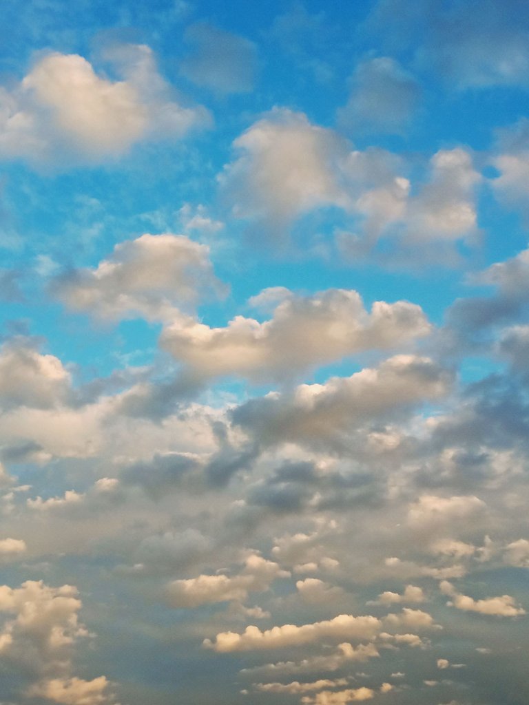 IMG_20250519_193737.jpg