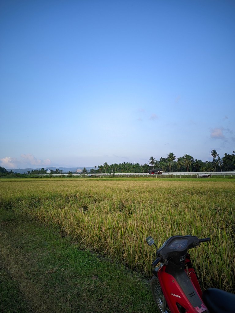 ©Seputar Gcam20240210_181708_📍Iphone 16 HDR LMC📍Format YUV.jpg