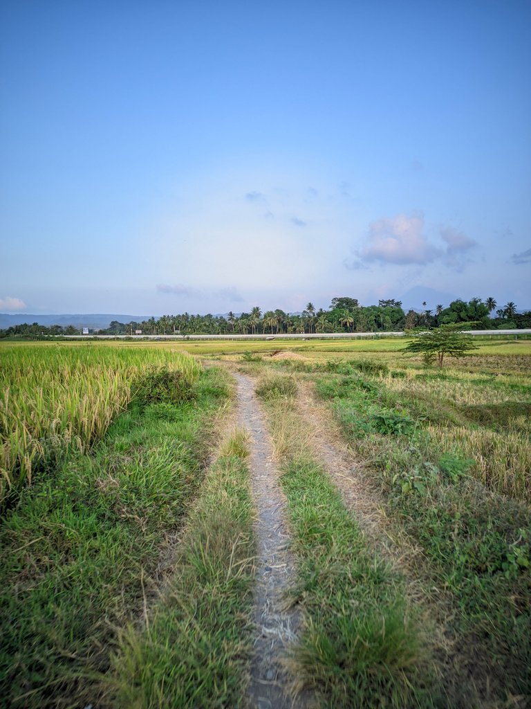 ©Seputar Gcam20240210_181439_📍Iphone 16 HDR LMC📍Format YUV.jpg
