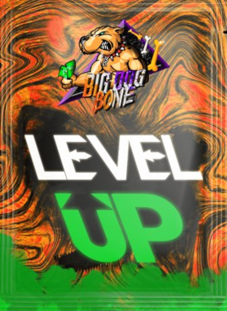 12.levelup.png